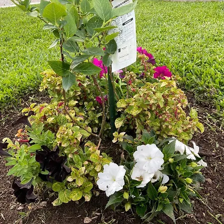 Crals - Casa Da Guilheta