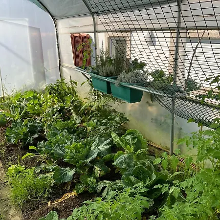 Crals - Casa Da Guilheta Tatil Evi *