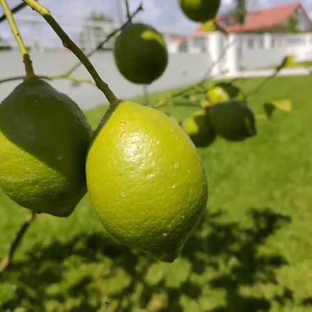 Tatil Evi Crals - Casa Da Guilheta Esposende