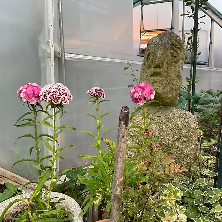 Crals - Casa Da Guilheta 別荘 エシュポゼンデ