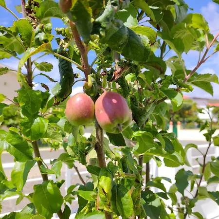 Crals - Casa Da Guilheta Casa vacanze