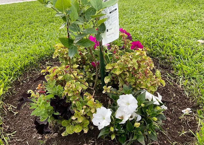 Crals - Casa Da Guilheta