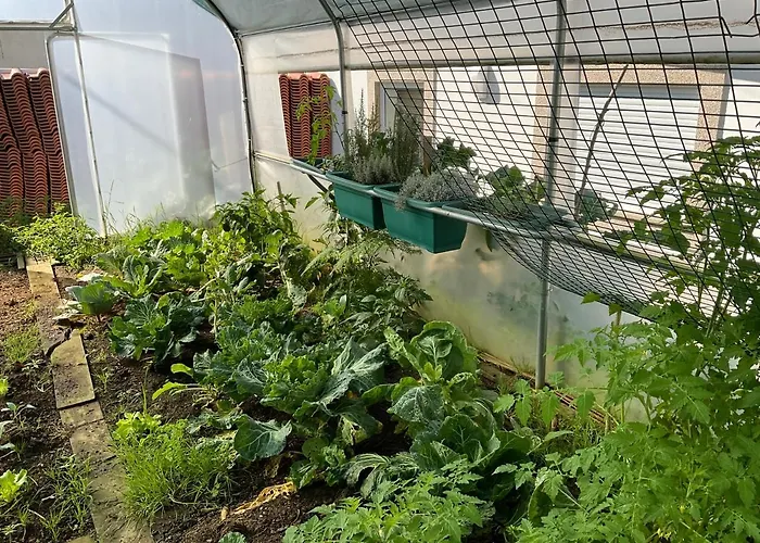 Crals - Casa Da Guilheta 펜션 *