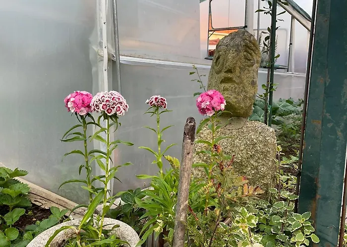 Crals - Casa Da Guilheta 펜션 에스포센데