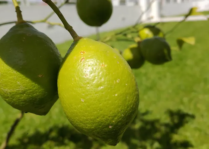 펜션 Crals - Casa Da Guilheta 에스포센데