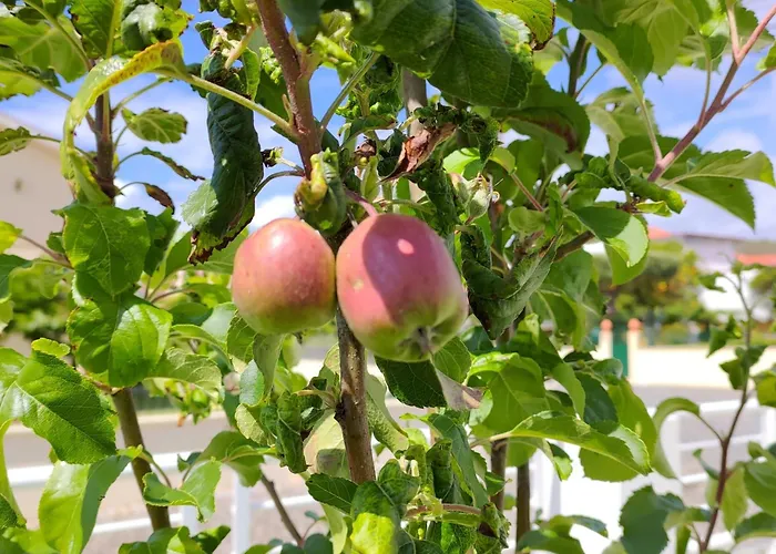 Crals - Casa Da Guilheta 펜션