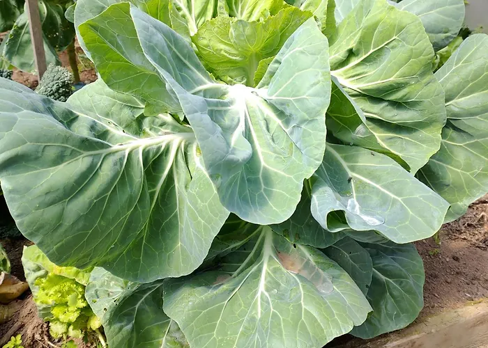 Crals - Casa Da Guilheta *